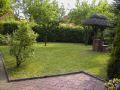 Blick in den Garten